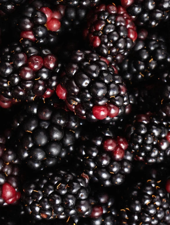 Blackberry Glow Cleanser